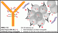 Immunomedics的SN-38抗體藥物偶聯(lián)物(ADC)Sacituzumab Govitecan獲得FDA快速通道認定 Immunomedics的SN-38抗體藥物偶聯(lián)物(ADC)Sacituzumab Govitecan獲得FDA快速通道認定