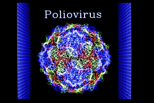 Poliovirus