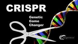crispr
