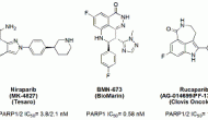 要聞點(diǎn)評2013-10-3：PARP抑制劑再次成為抗癌領(lǐng)域的研發(fā)熱點(diǎn)