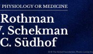 美國(guó)耶魯、貝克萊和斯坦福的三位科學(xué)家分享2013年諾貝爾生理學(xué)或醫(yī)學(xué)獎(jiǎng)