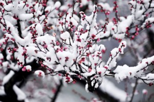 1729075_1356186984ZPk5