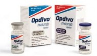 FDA接受施貴寶PD-1抑制劑Opdivo治療肺癌上市申請(qǐng)，免疫療法進(jìn)入主流實(shí)體瘤