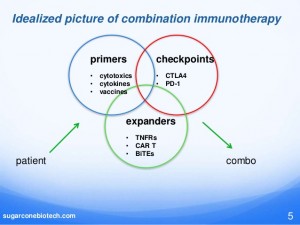 the-immune-checkpoint-landscape-in-2015-combination-therapy-5-638