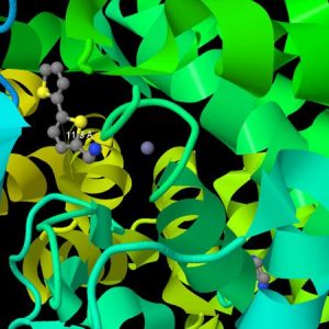 integrating-hts-and-fragment-based-drug-discovery