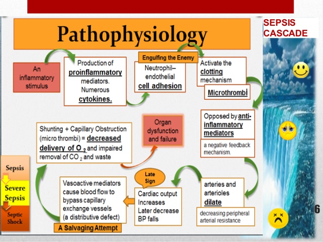sepsis-dec-2015-sample-6-638
