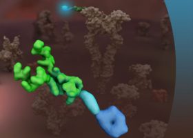 Tarveda Therapeutics的PEN-221進(jìn)入臨床試驗，小分子藥物偶聯(lián)（SMDC）繼續(xù)爬坡