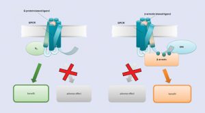 Trevena_BiasedLigand1981828125