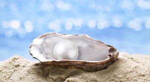 Dollarphotoclub_74885166z