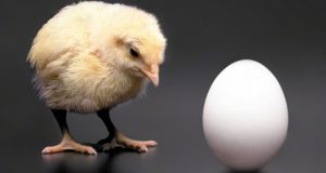 chicken-or-egg-cropped1-750x400