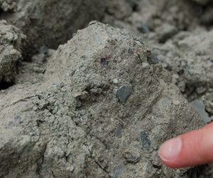 main-qimg-3281b6b93365977320111f7c8bd672f3-c