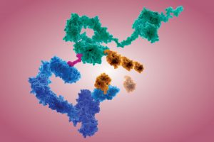 120391_targeted-protein-degraders-are-redefining-how-small-molecules-look-and-act