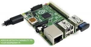 81EK8f+YMNL._SL1500_