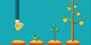 20160201113408-shutterstock-245078035