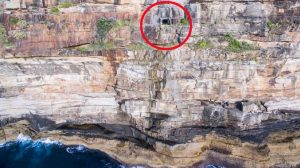 imagev106933aa95692b0addd3366a54feec61d-qvo0p28t61e0p0kv0r2_ct677x380