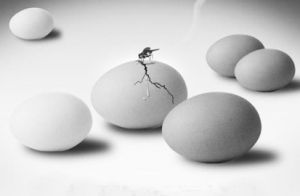 8001d00ff68f42a2bcc13bea76ad623b_th