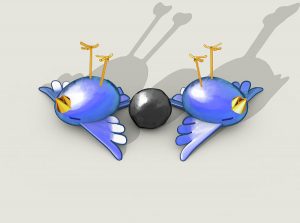 kill-two-bird-with-one-stone-allan-swart