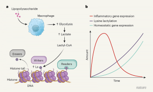 d41586-019-03122-1_17297230