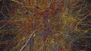 8bf03e3e2618efdebda9e8f067b0310f