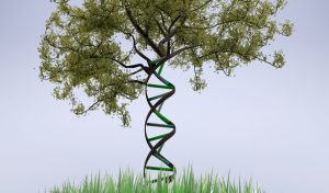 ZIP Code or Genetic Code-v2