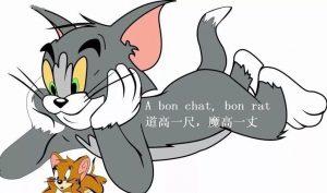 eb7a5c96a0c74e8faf9c88c873a6273d