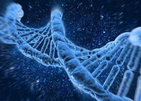 從基因的角度解析心血管疾病風(fēng)險（一）從肝臟到心臟