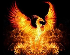 thumbnail_phoenix+rising